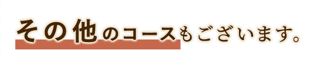 その他のコース